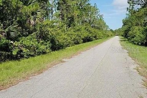 Land in Port Charlotte, Florida № 2164973 - photo 3