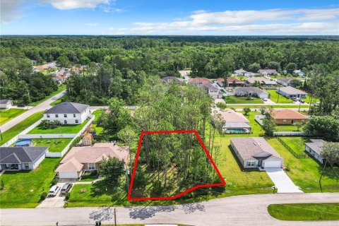 Terreno en venta en Palm Coast, Florida № 1848637 - foto 6