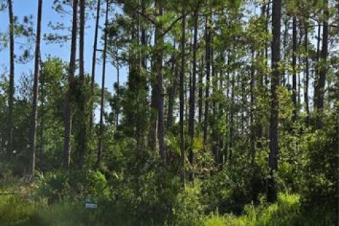 Terreno en venta en Palm Coast, Florida № 1848637 - foto 3