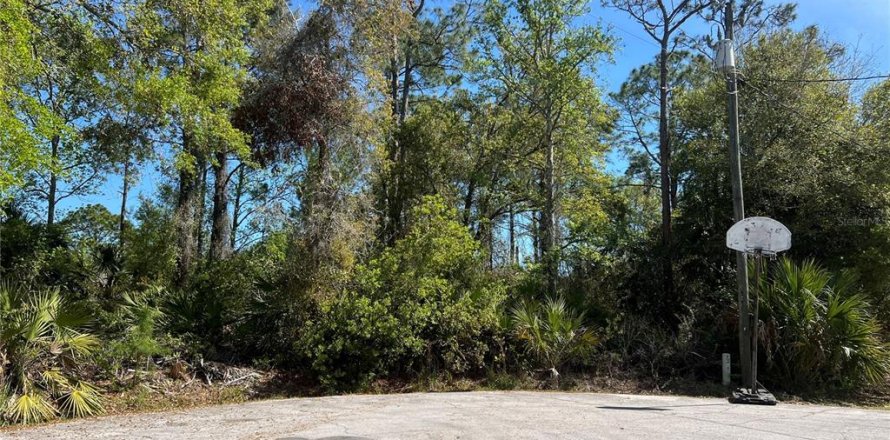 Terreno en Palm Coast, Florida № 1625262