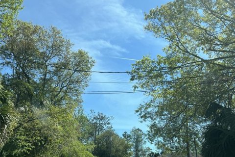 Terreno en venta en Palm Coast, Florida № 1625262 - foto 3