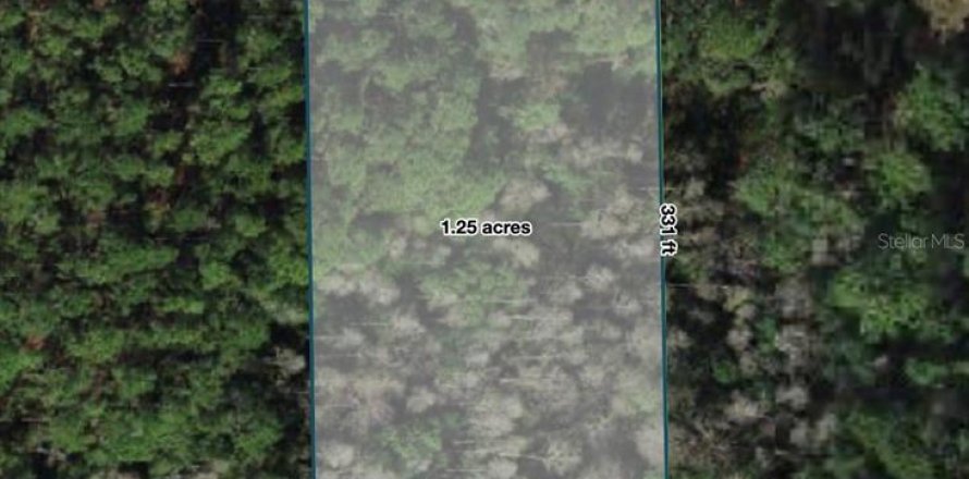 Terrain à Polk City, Floride № 2204378