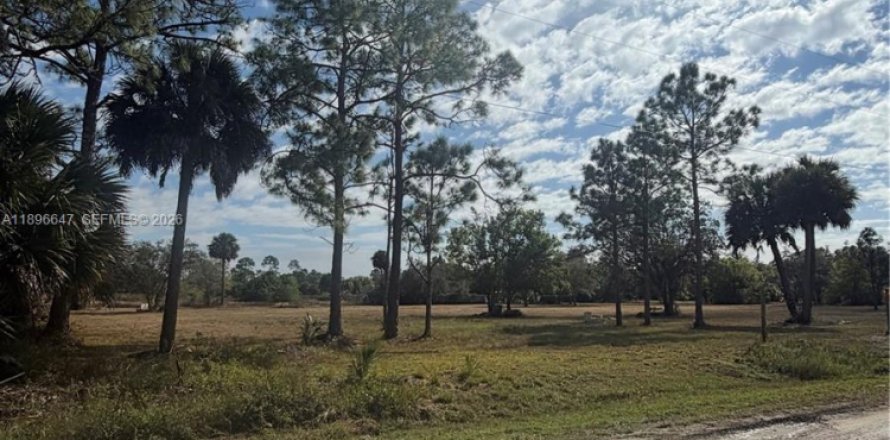 Terrain à Clewiston, Floride № 2023875
