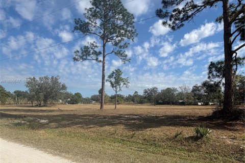 Terrain à vendre à Clewiston, Floride № 2023875 - photo 2