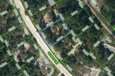 Land in Lake Placid, Florida № 2223964