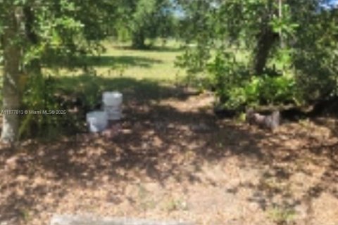 Terreno en venta en Clewiston, Florida № 1922796 - foto 11