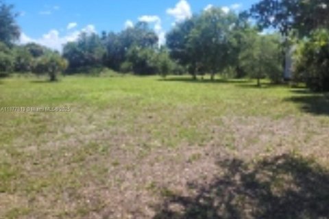 Terreno en venta en Clewiston, Florida № 1922796 - foto 16