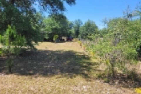 Terreno en venta en Clewiston, Florida № 1922796 - foto 15