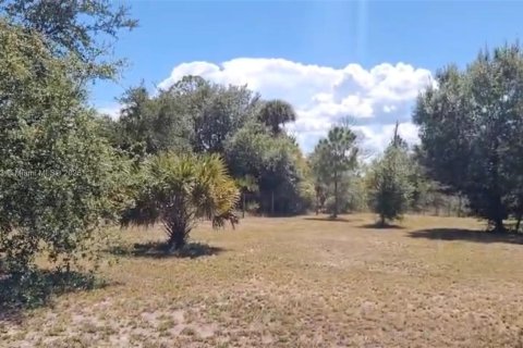Terreno en venta en Clewiston, Florida № 1922796 - foto 10