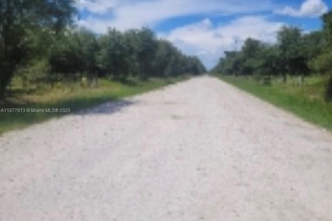 Terreno en venta en Clewiston, Florida № 1922796 - foto 7