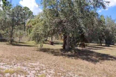 Terreno en venta en Clewiston, Florida № 1922796 - foto 9