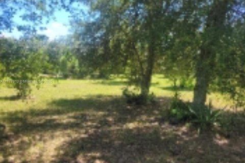 Terreno en venta en Clewiston, Florida № 1922796 - foto 17