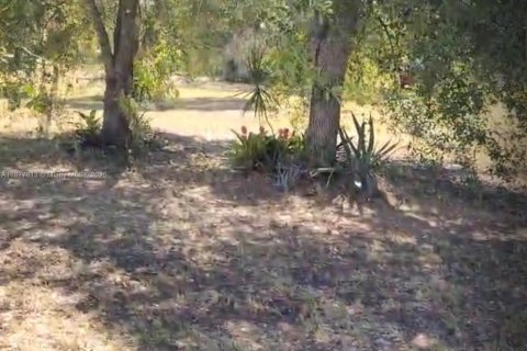 Terreno en venta en Clewiston, Florida № 1922796 - foto 8