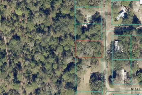 Land in Silver Springs Shores, Florida № 2164268 - photo 2