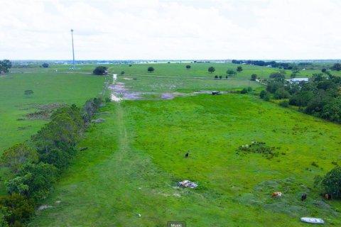 Land in Bartow, Florida № 1787950 - photo 9