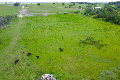Land in Bartow, Florida № 1787950 - photo 8
