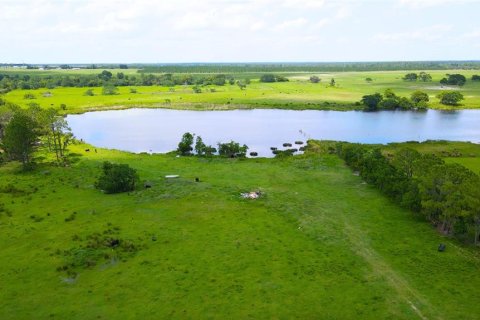 Land in Bartow, Florida № 1787950 - photo 7