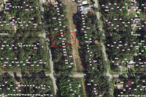 Land in Inverness, Florida № 2164606 - photo 2