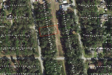 Land in Inverness, Florida № 2164606 - photo 3