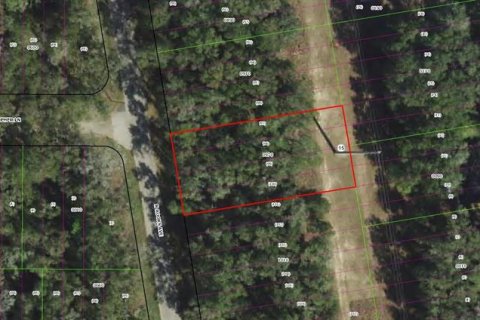 Land in Inverness, Florida № 2164606