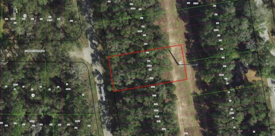 Land in Inverness, Florida № 2164606