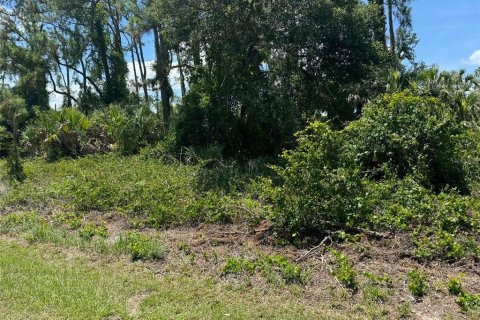 Land in Ocala, Florida № 2159112