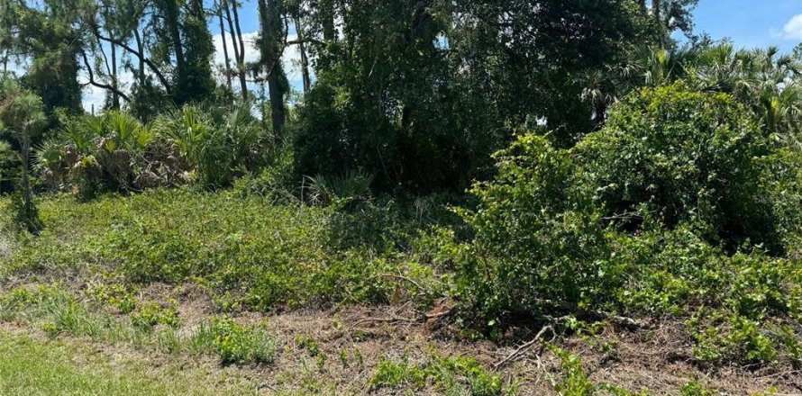 Terreno en Ocala, Florida № 2159112