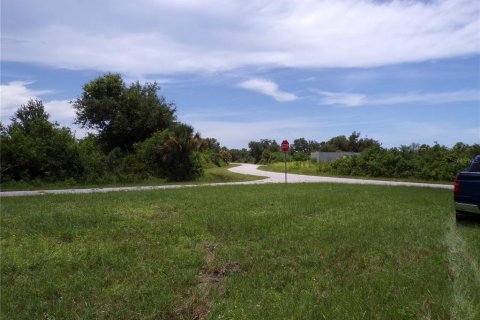Land in Port Charlotte, Florida № 2159689 - photo 8