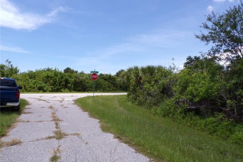 Land in Port Charlotte, Florida № 2159689 - photo 7