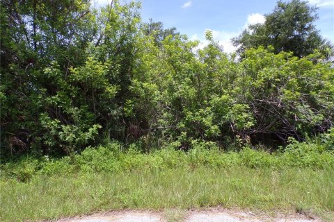 Land in Port Charlotte, Florida № 2159689