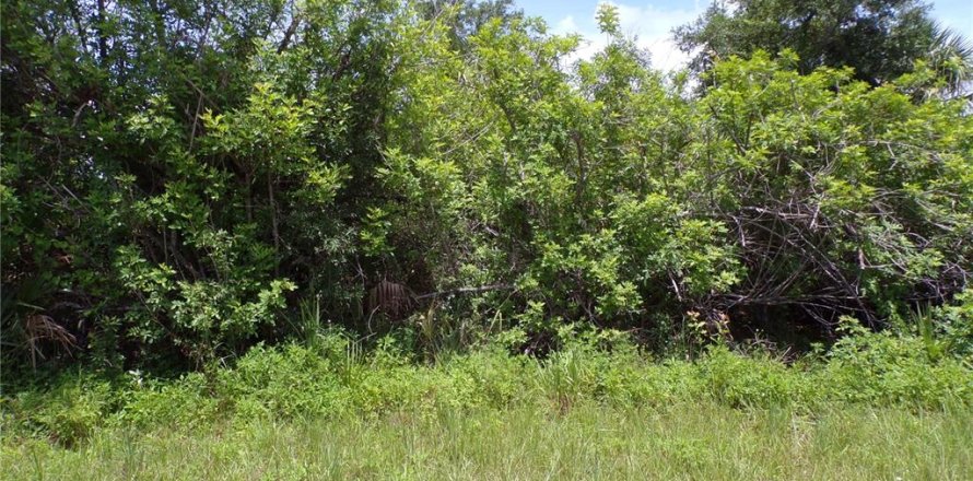 Land in Port Charlotte, Florida № 2159689