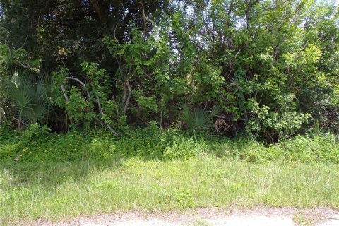 Land in Port Charlotte, Florida № 2159689 - photo 4