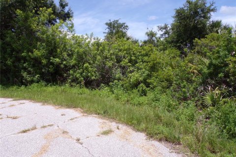 Land in Port Charlotte, Florida № 2159689 - photo 2