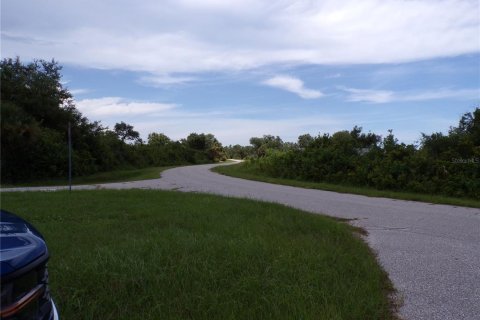 Land in Port Charlotte, Florida № 2159689 - photo 10