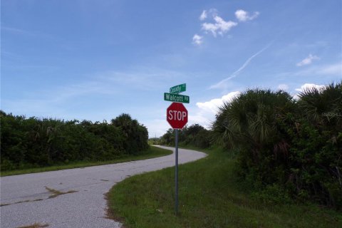 Land in Port Charlotte, Florida № 2159689 - photo 9