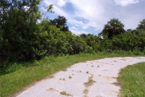 Land in Port Charlotte, Florida № 2159689 - photo 5
