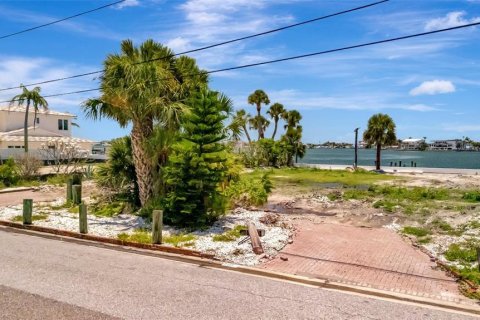 Land in Saint Petersburg, Florida № 1789034 - photo 4