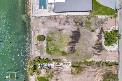 Land in Saint Petersburg, Florida № 1789034 - photo 5