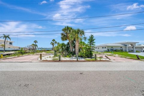 Land in Saint Petersburg, Florida № 1789034 - photo 15