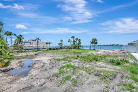 Land in Saint Petersburg, Florida № 1789034 - photo 17