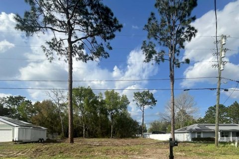 Land in Ocala, Florida № 2198820 - photo 4