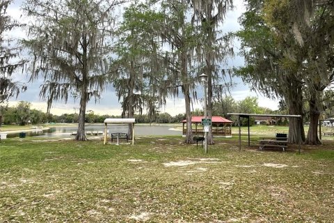 Land in Ocala, Florida № 2198820 - photo 7