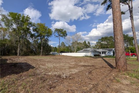 Land in Ocala, Florida № 2198820 - photo 5