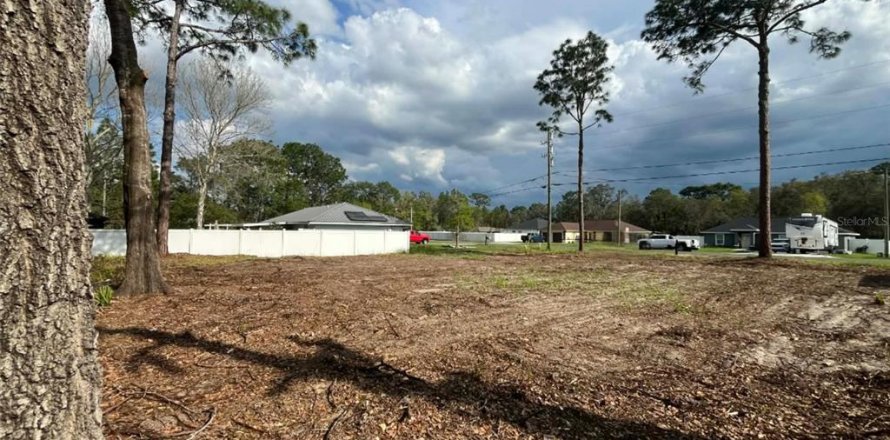Land in Ocala, Florida № 2198820