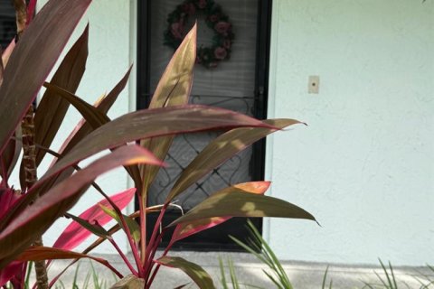 Condo in Lake Worth, Florida, 2 bedrooms  № 2261543