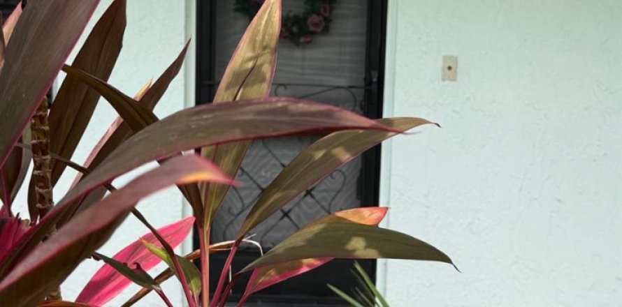 Condo in Lake Worth, Florida, 2 bedrooms № 2261543