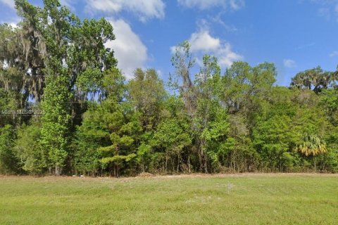 Commercial property in Ocala, Florida № 1861146 - photo 1