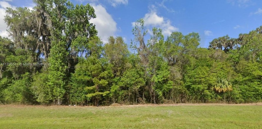 Commercial property in Ocala, Florida № 1861146