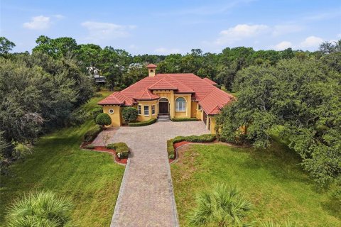 Villa ou maison à vendre à Weeki Wachee, Floride: 4 chambres, 357.21 m2 № 2431679 - photo 7