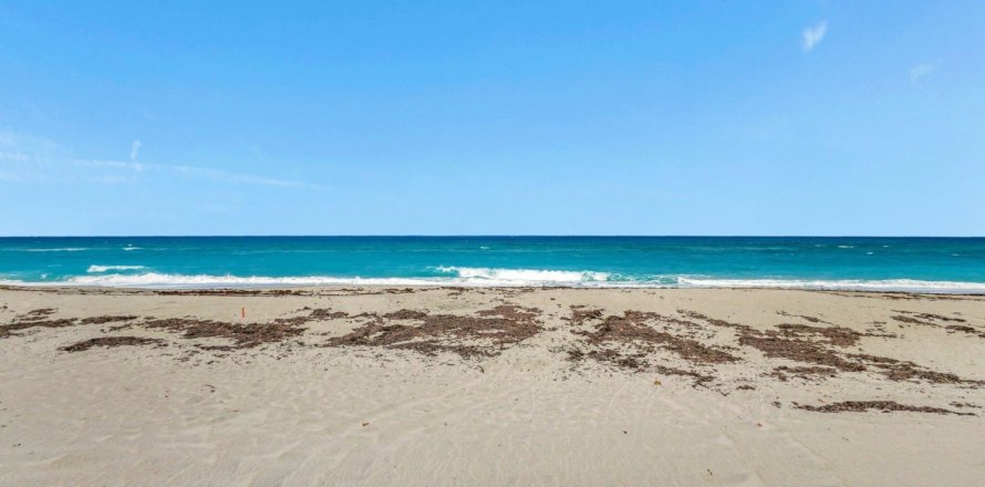House in Juno Beach, Florida 3 bedrooms, 149.67 sq.m. № 1179511